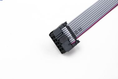 Datenflächenkabelmontage mit 10-Pin-Schwarzen FRC-Anschlüssen